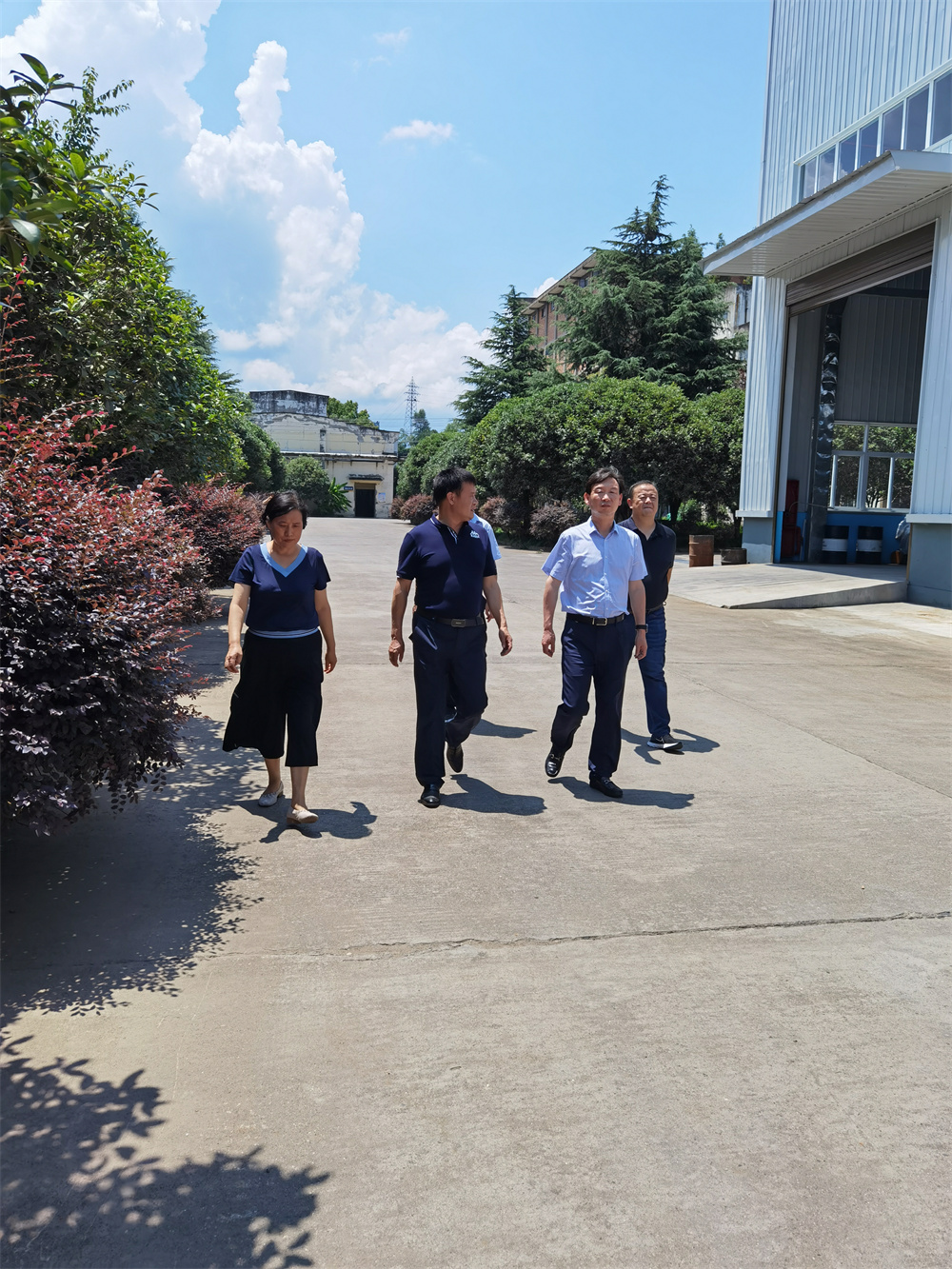 中國農業(yè)發(fā)展銀行安康市分行行長趙明一行人來我公司調研生產(chǎn)經(jīng)營情況